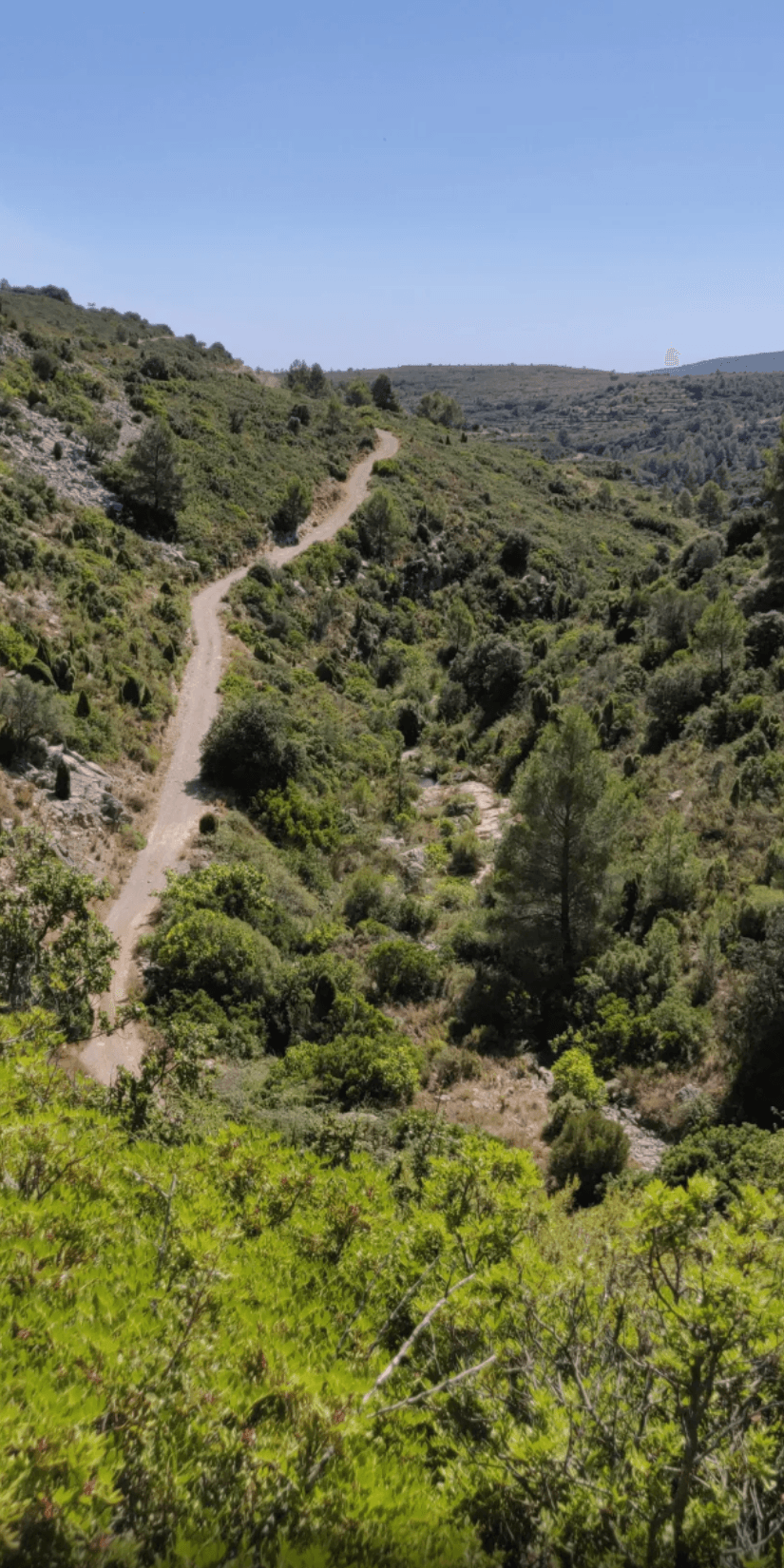 Nature Walks
